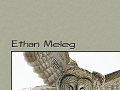 http://www.ethanmeleg.com/?